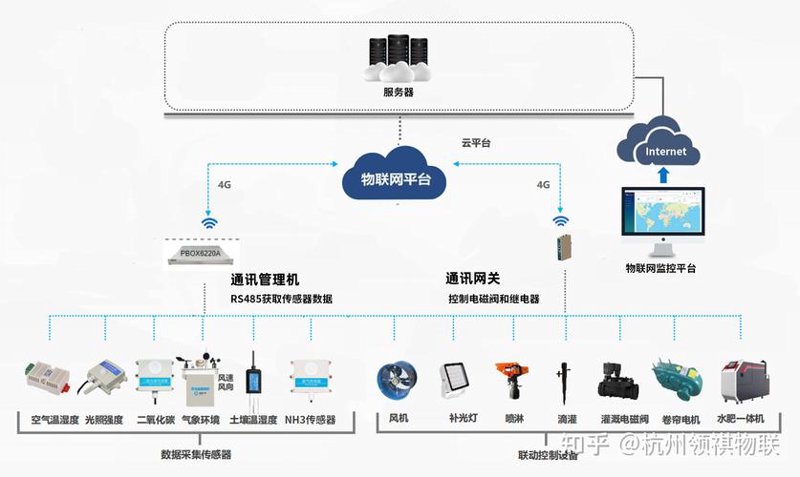 软件定制在企业数字化转型中的重要性